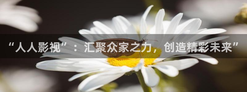 星空影视大片免费看：“人人影视”：汇聚众家之力，创造精彩未来”