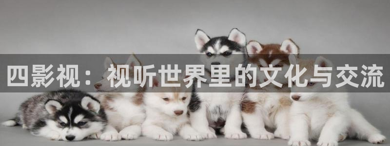星空影院免费观看电视剧电影大全最新：四影视：视听世界里的文化与交流