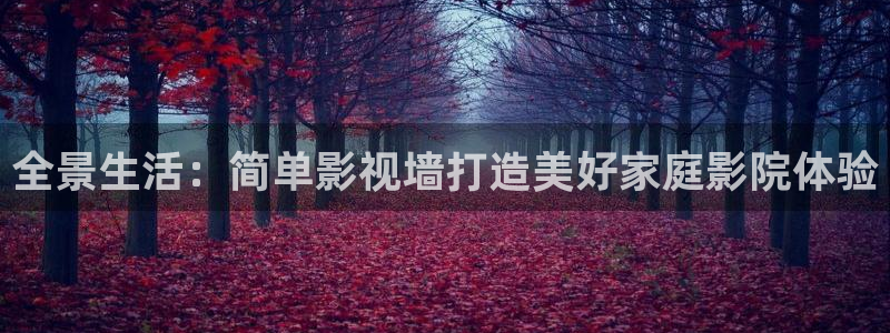 星空影院 在线观看：全景生活：简单影视墙打造美好家庭影院体验