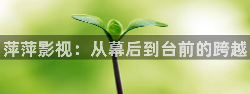 星空影院电视剧在线观看免费：萍萍影视：从幕后到台前的跨越