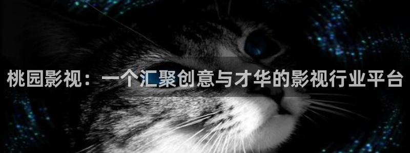 星空影院在线播放免费观看视频：桃园影视：一个汇聚创意与才华的影视行业平台