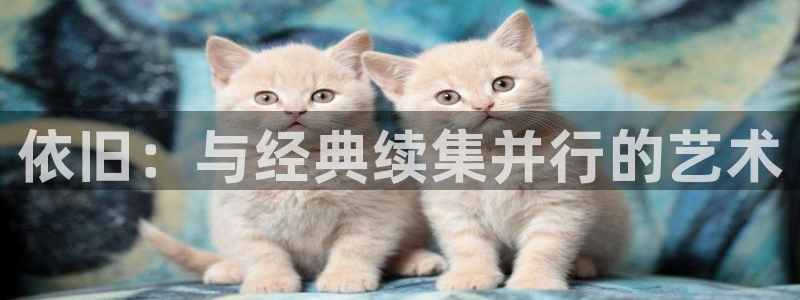 星空影视电影：依旧：与经典续集并行的艺术