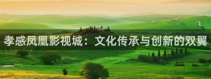 麻花星空天美视频：孝感凤凰影视城：文化传承与创新的双翼